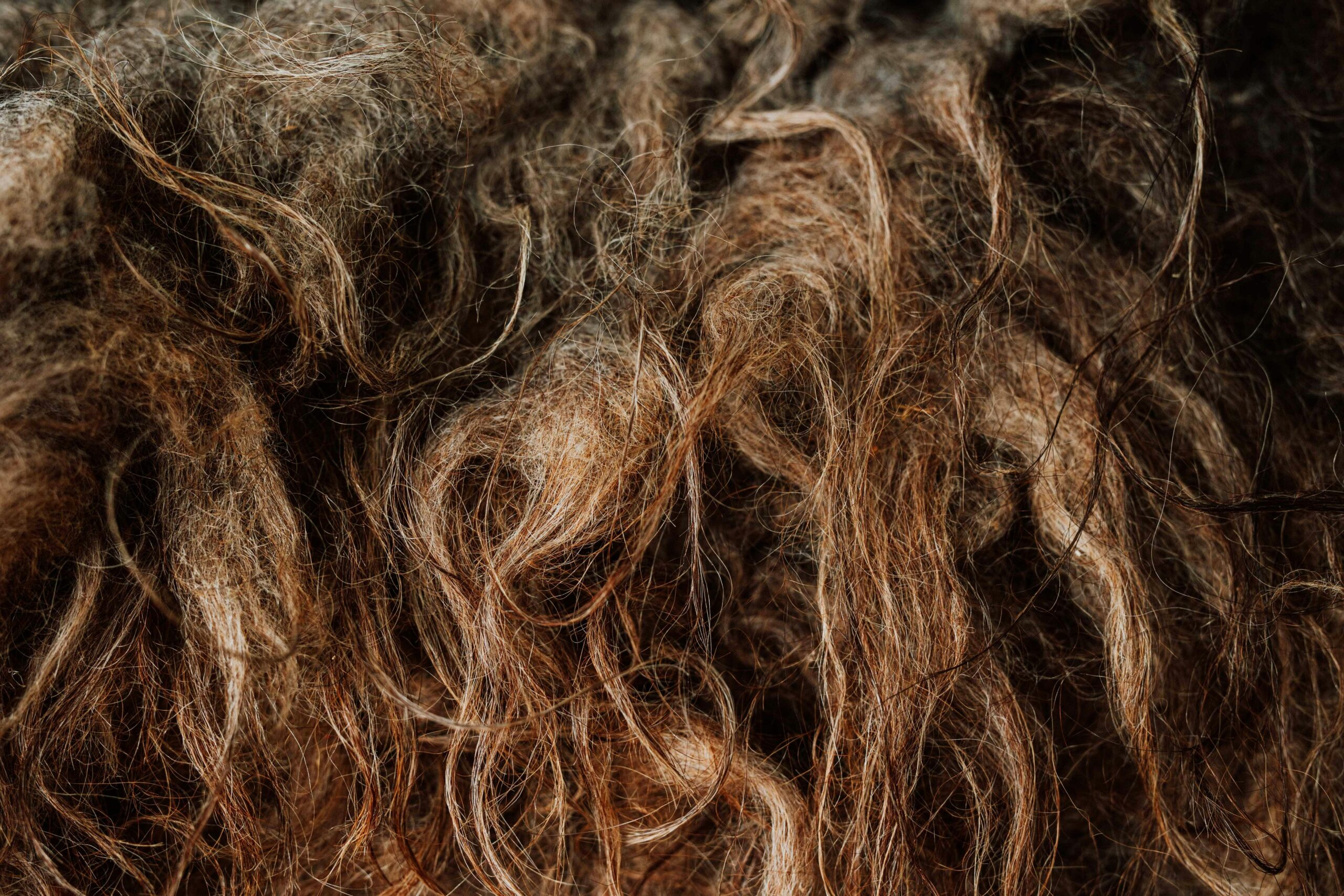 Image showing damage hair